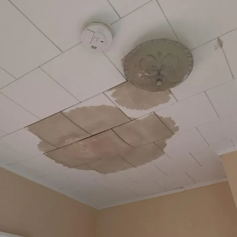 Ceiling Water Damage Repair in Pelican Rapids, MN