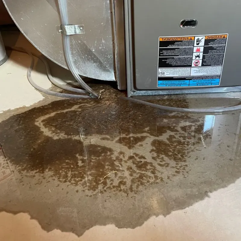 Pipe Burst and Leak Restoration in Pelican Rapids, MN
